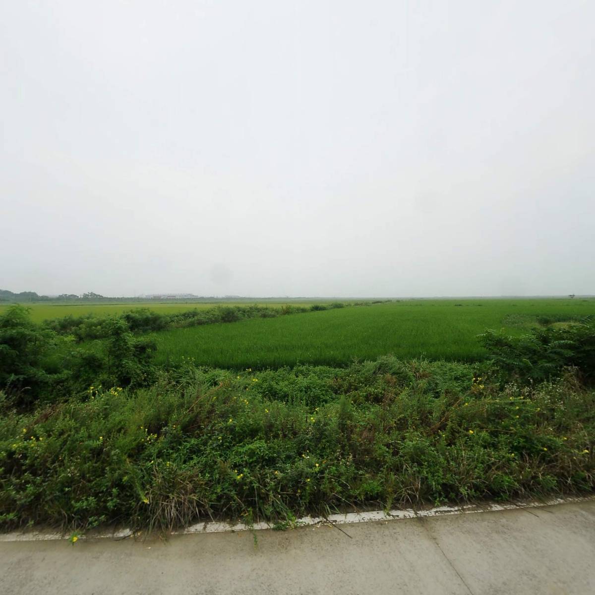 주식회사 청기와_3