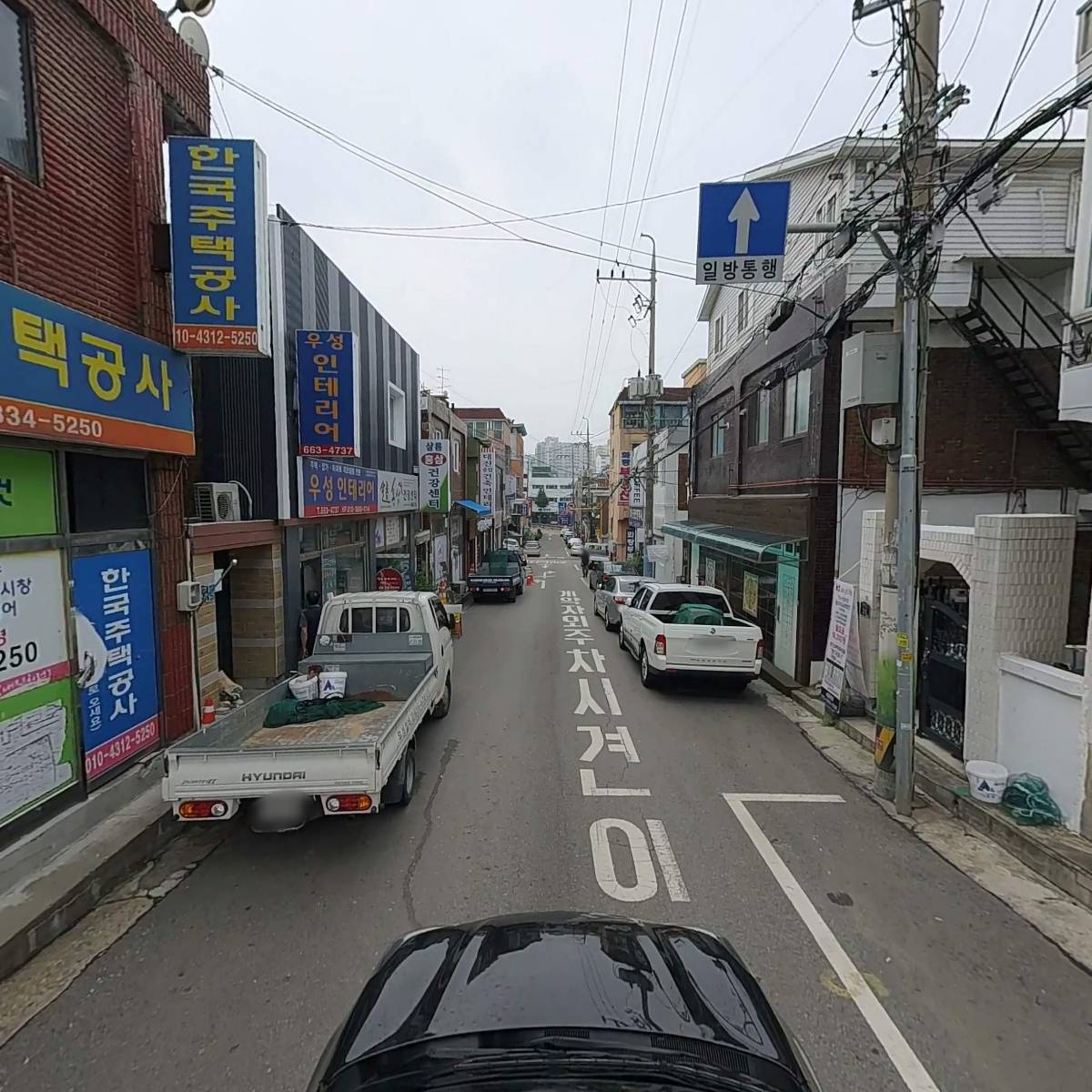 금빛_4