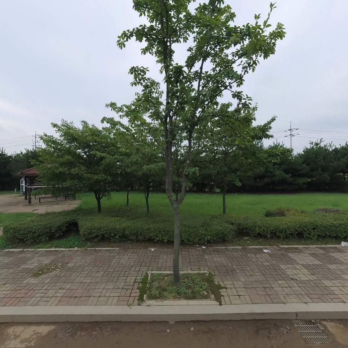 오스테오바이오닉스주식회사