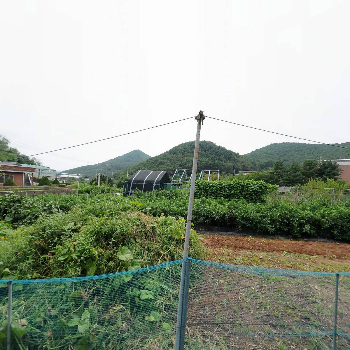 대한불교 다보선원_3