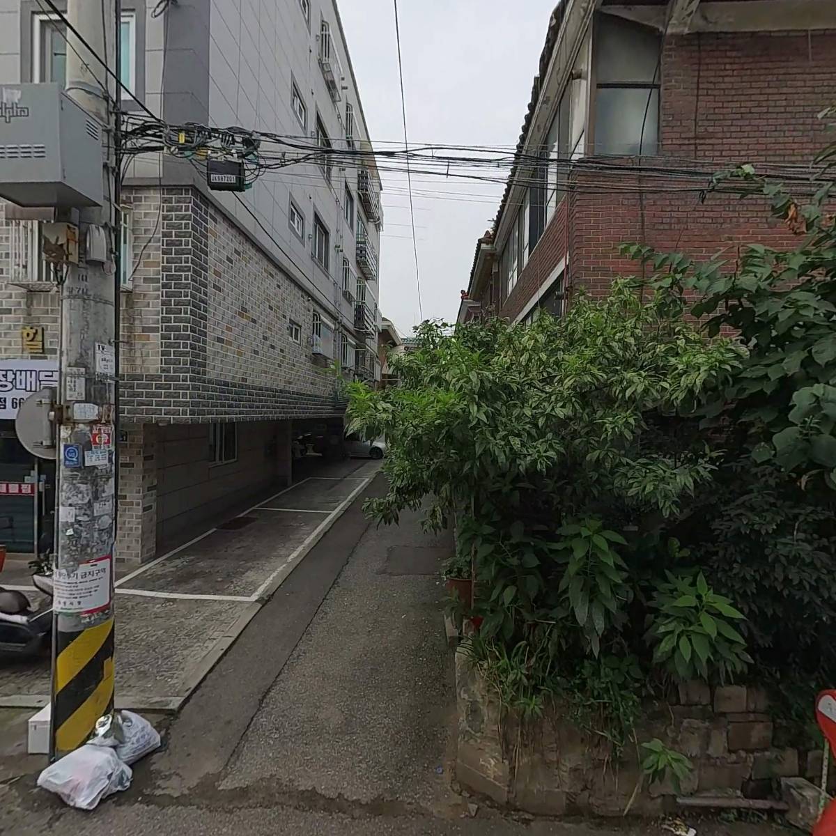 표현디자인