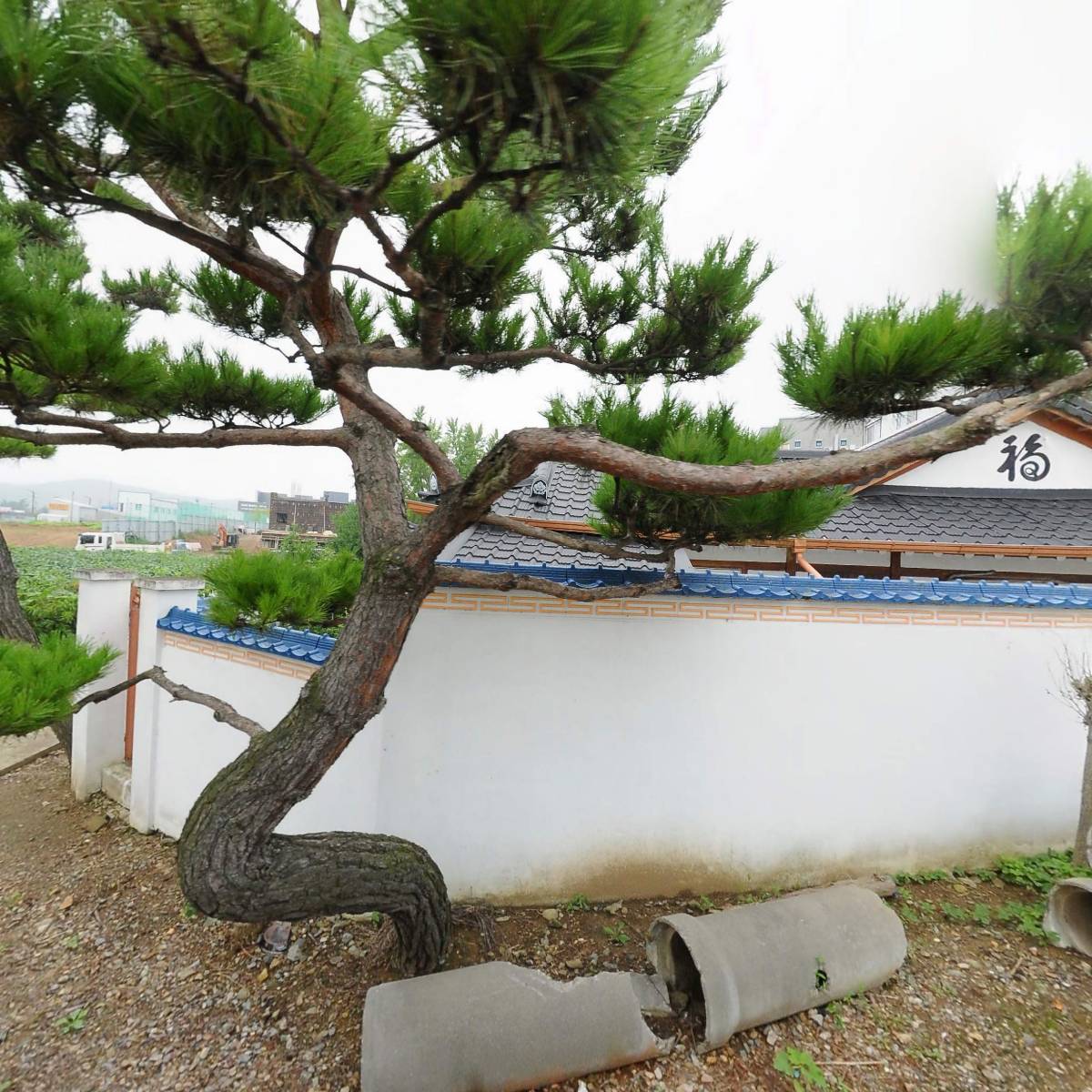 서래원