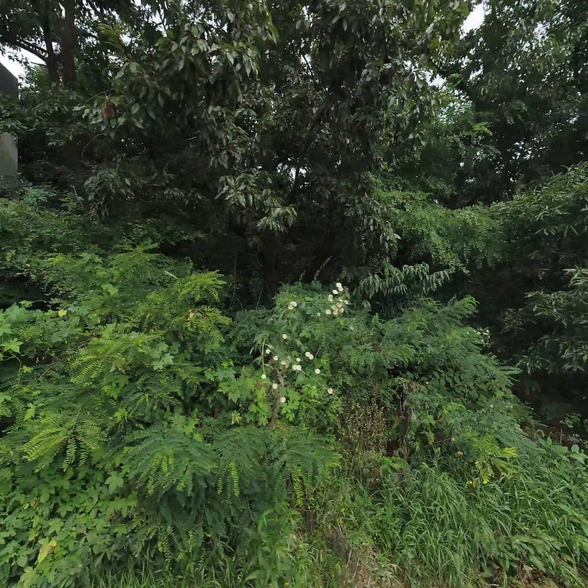 주식회사 에픽_3