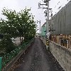 대한코끼리단조,도어_2