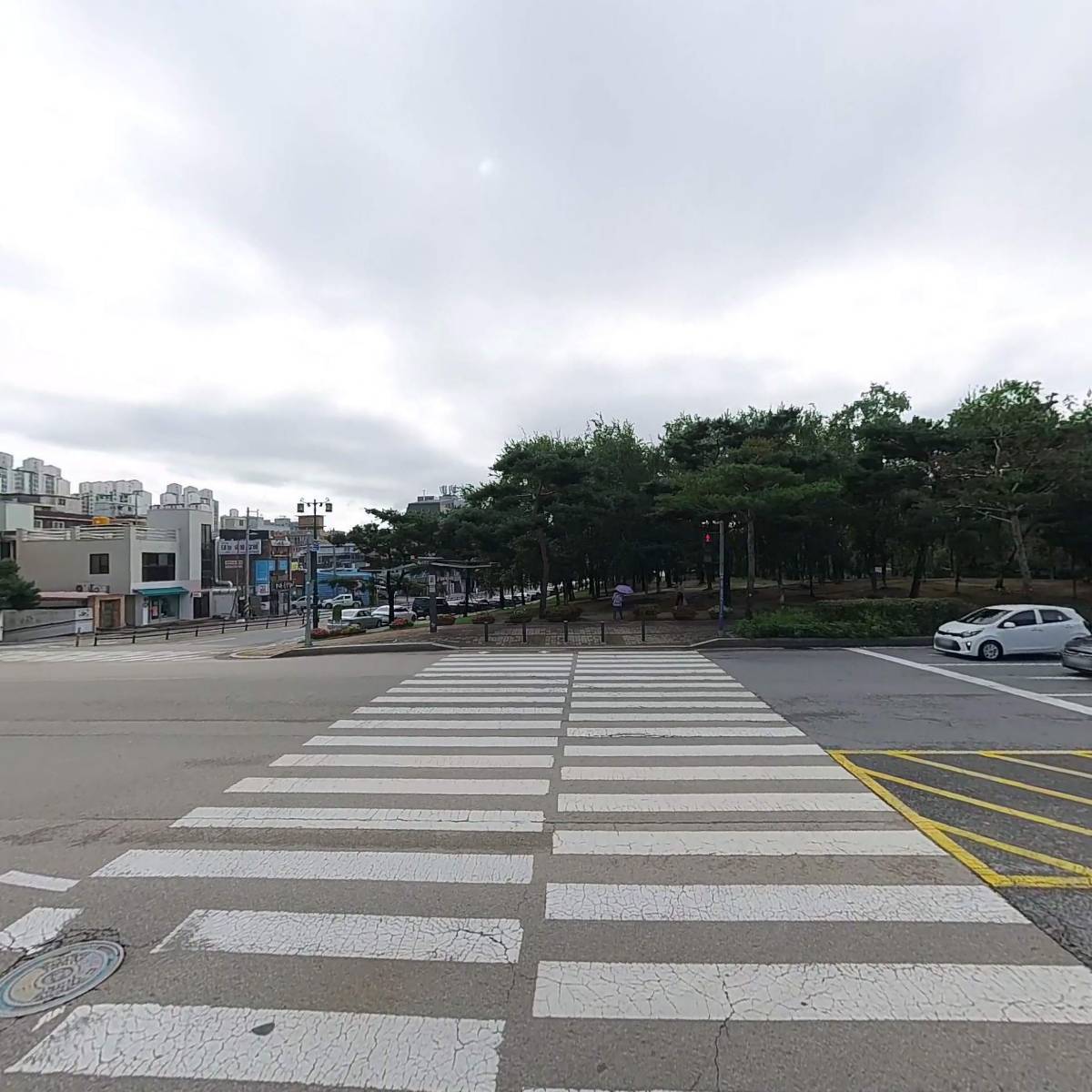 차차당_3