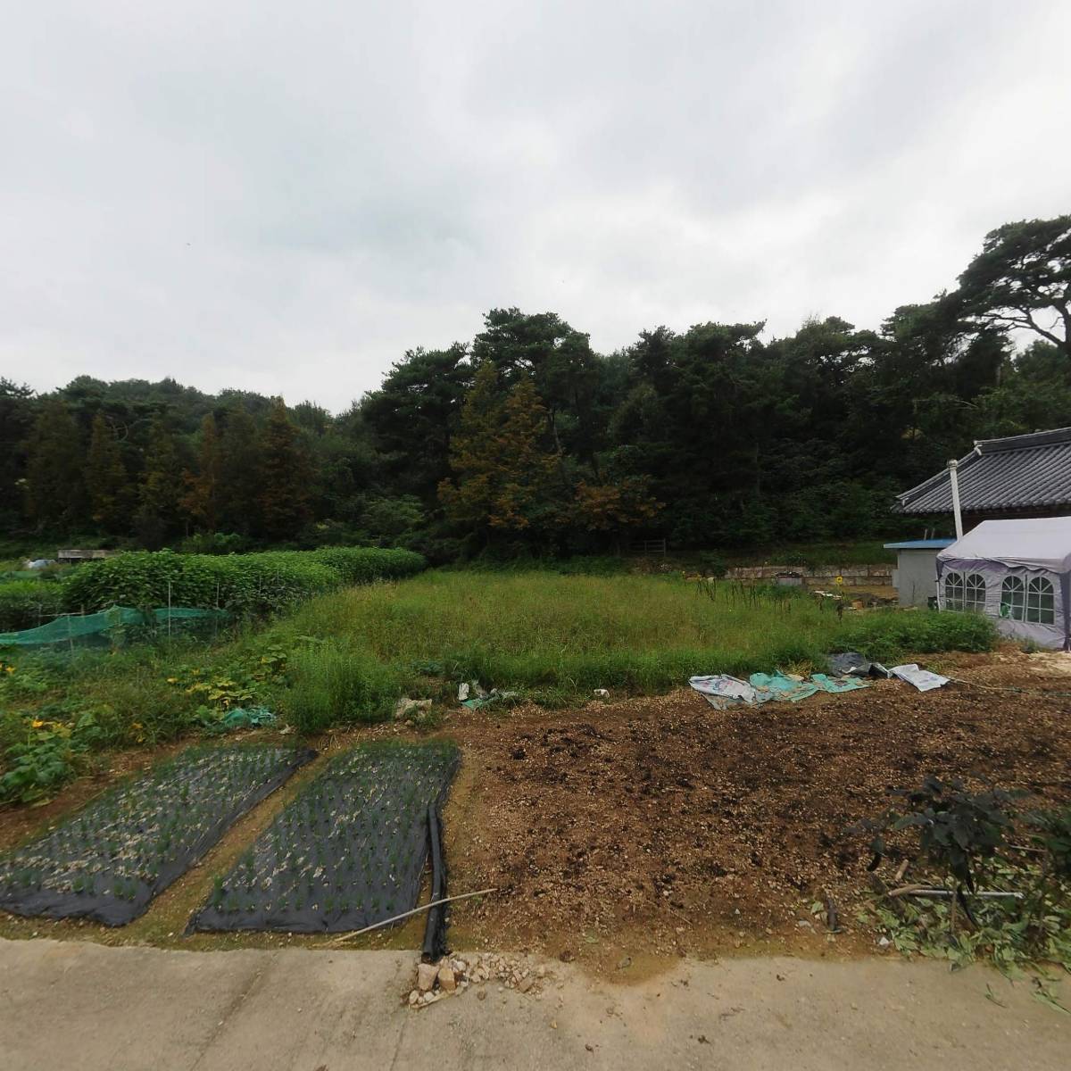 (주) 스카이리조트