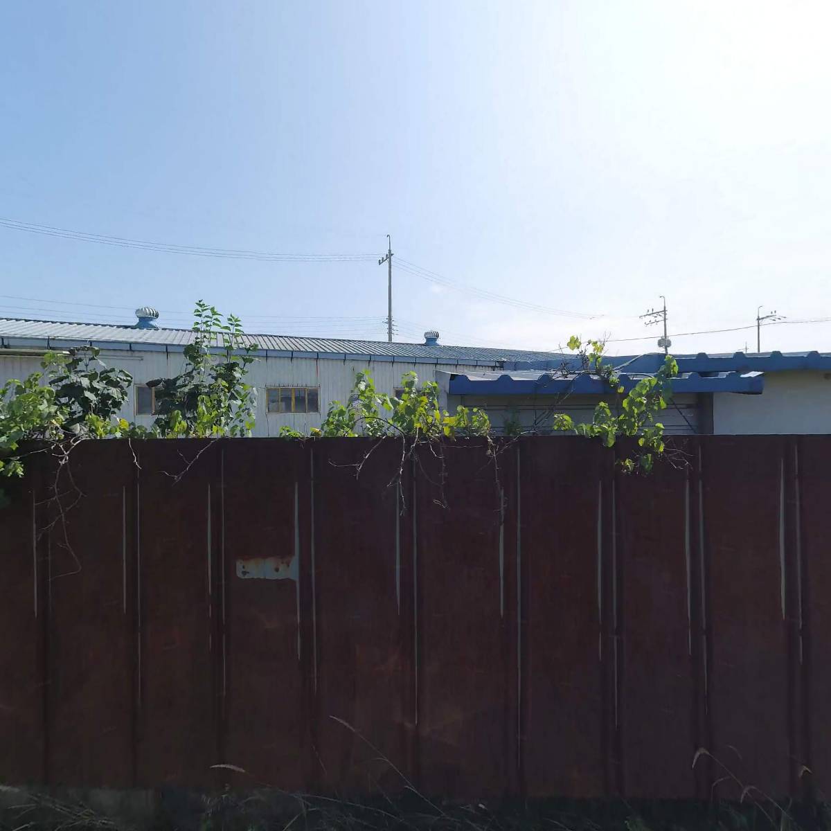 세화패키지