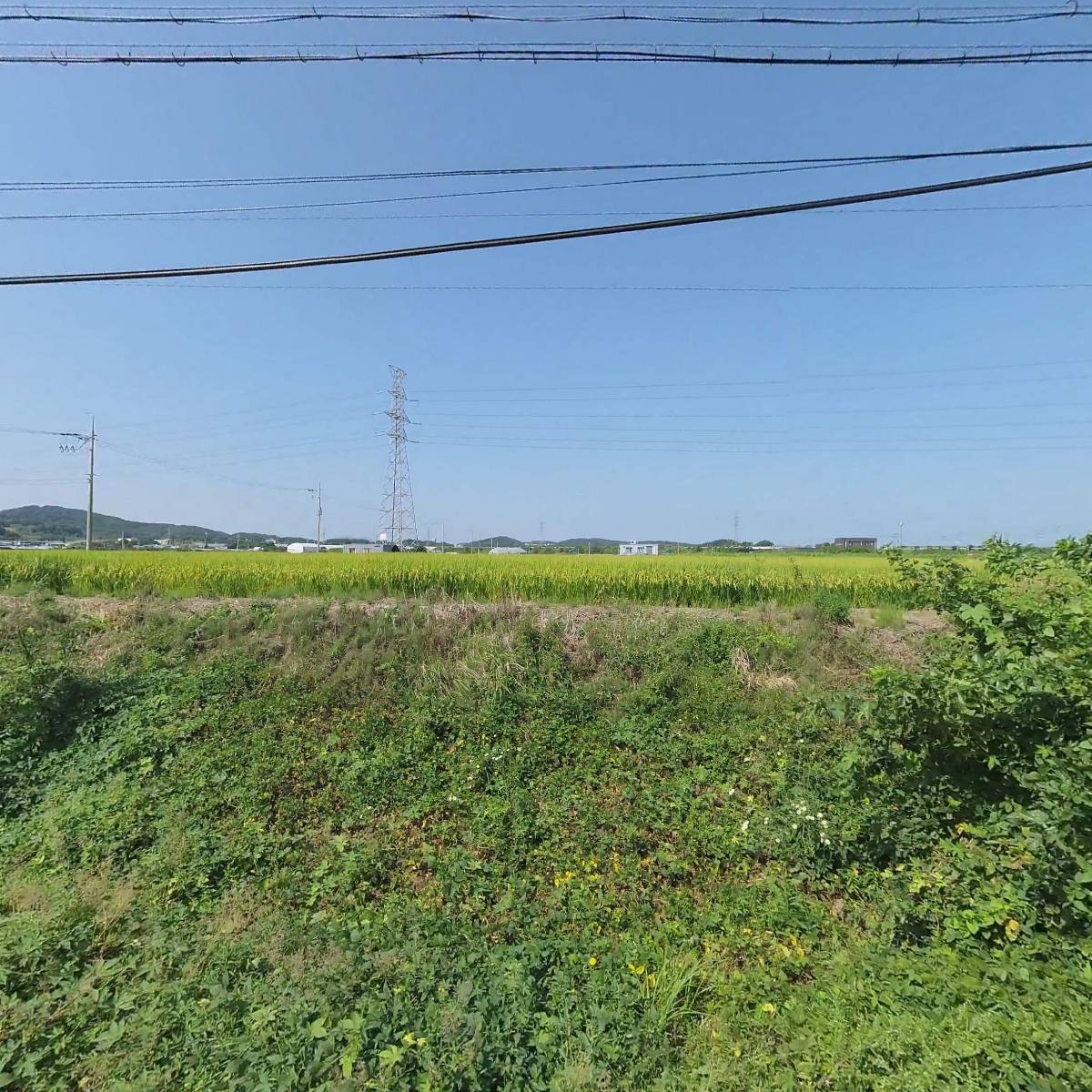 세화패키지_3