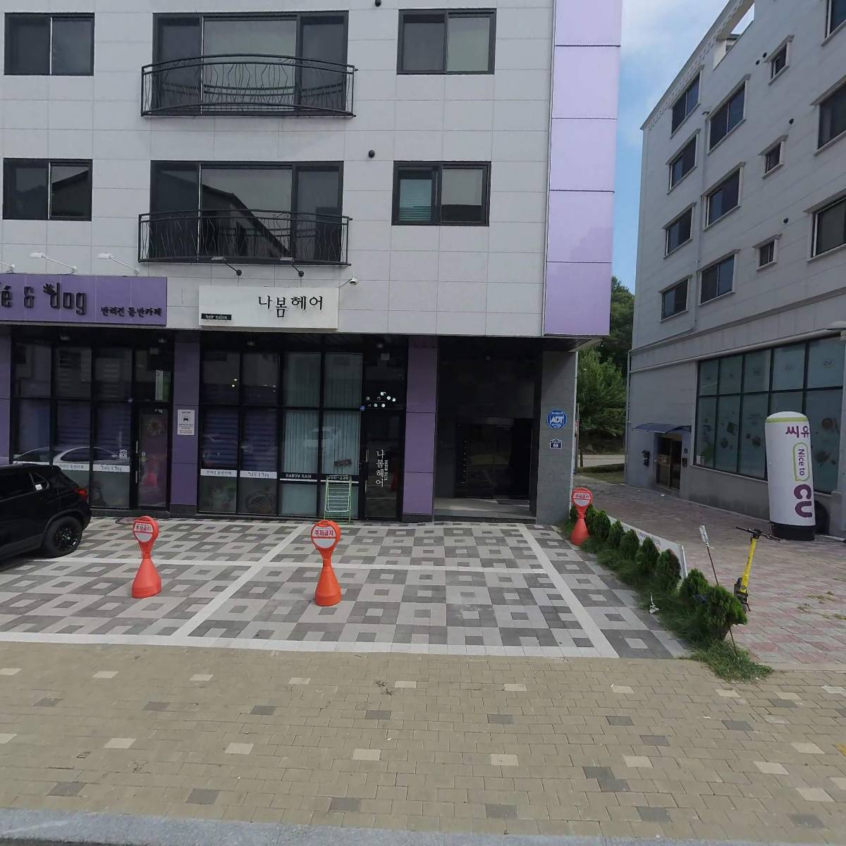 카페앤독