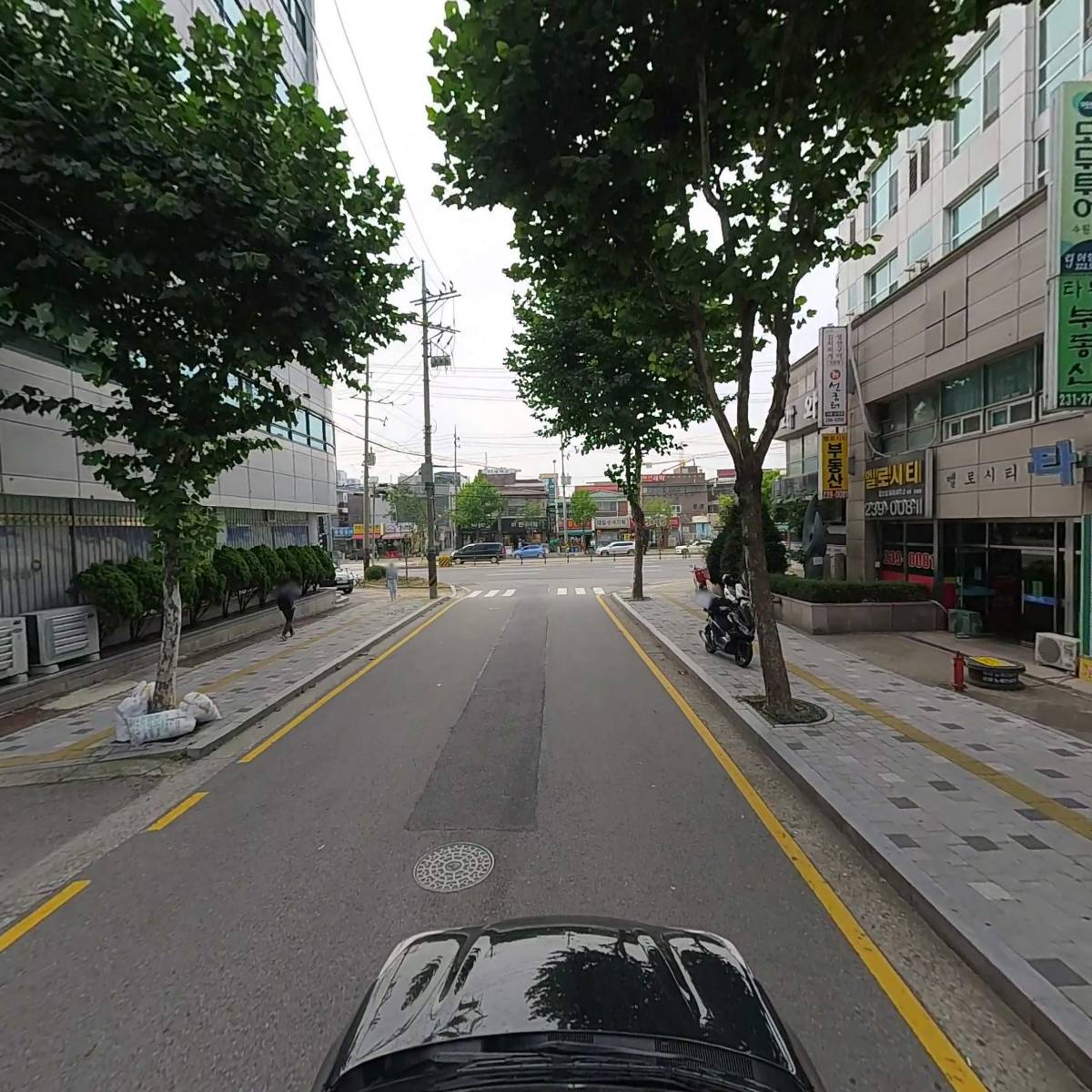 더메르_4