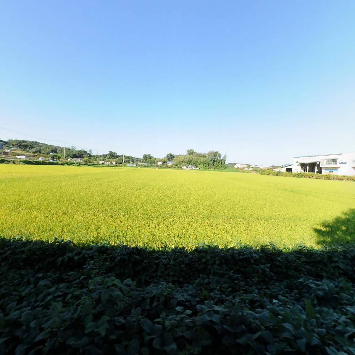 당진낙농축산업협동조합