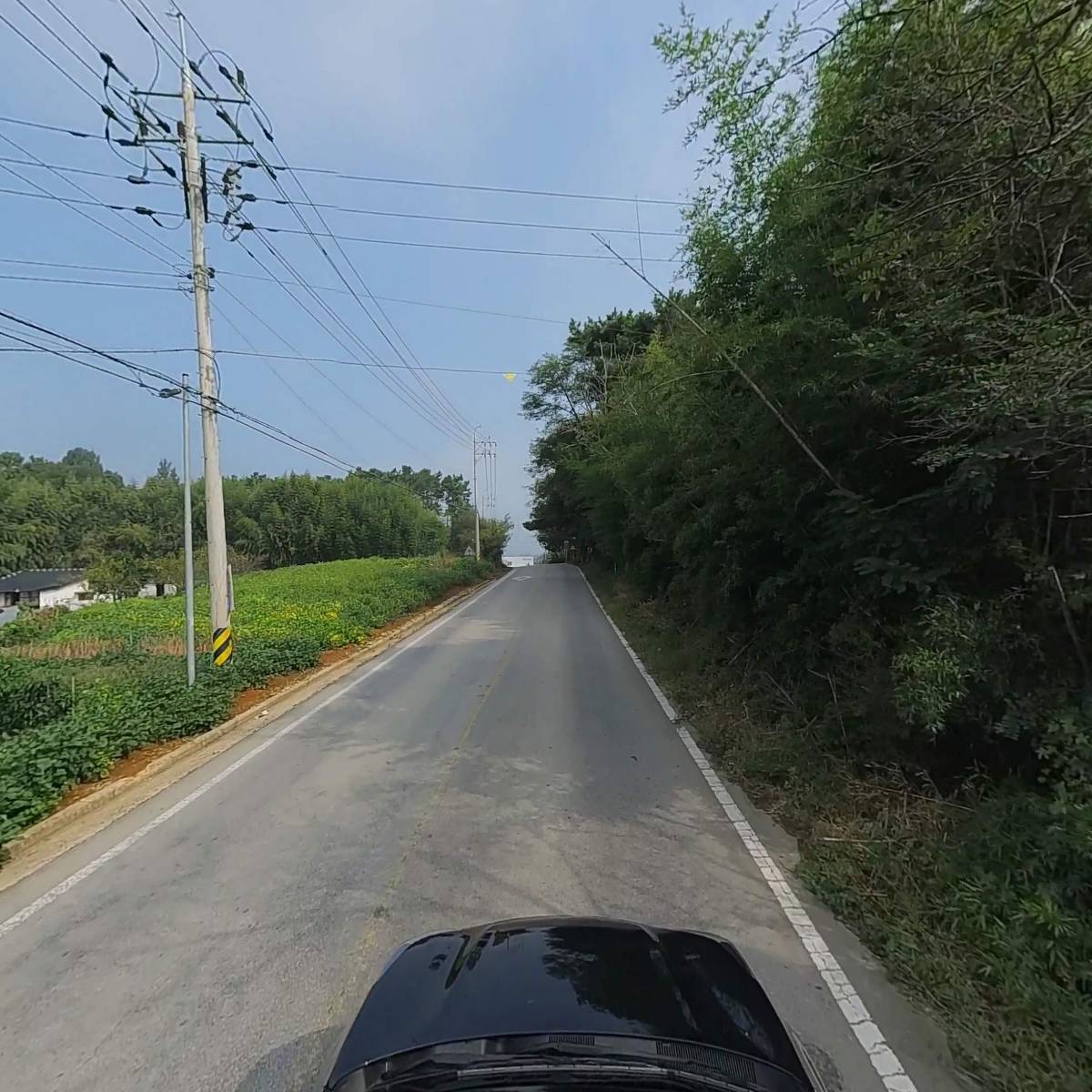 베스텍(천승희)_4