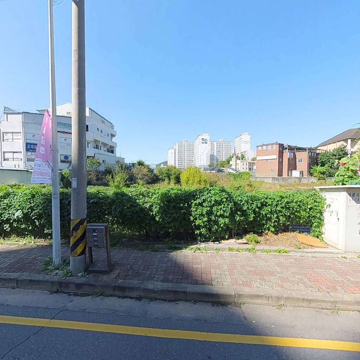 대성사