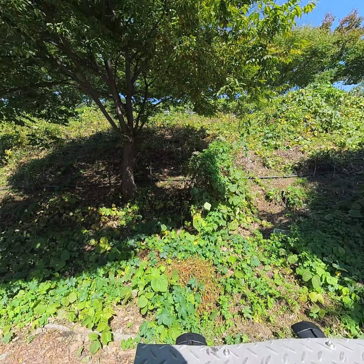 교육협동조합 세움_3