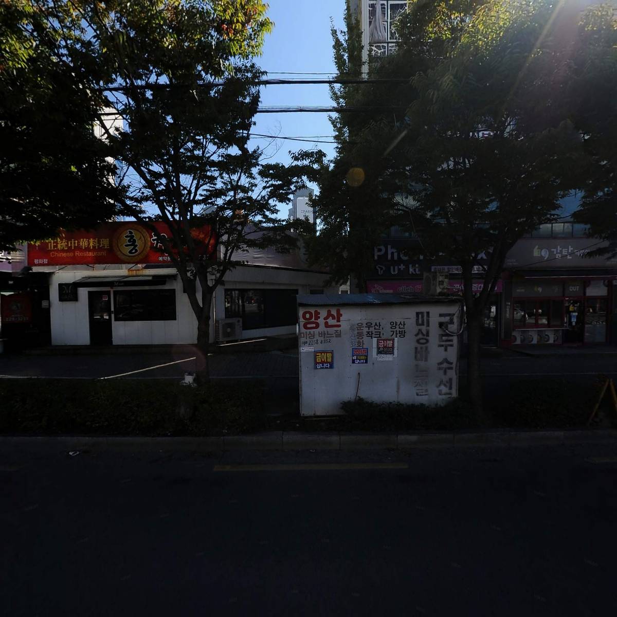 홍차이