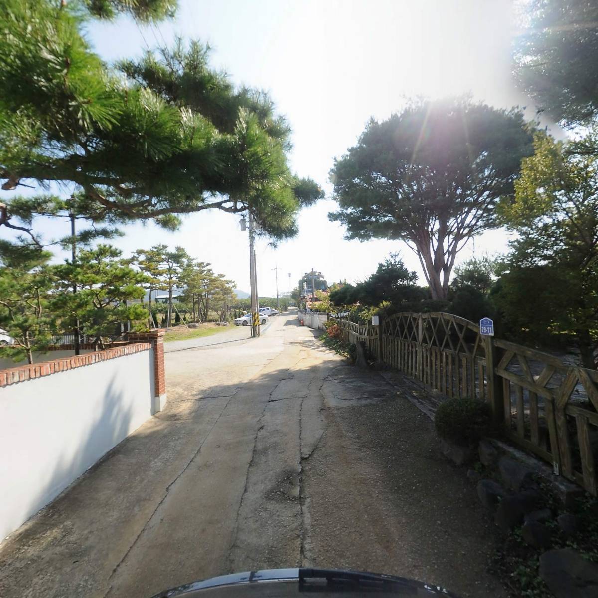 알바노_2