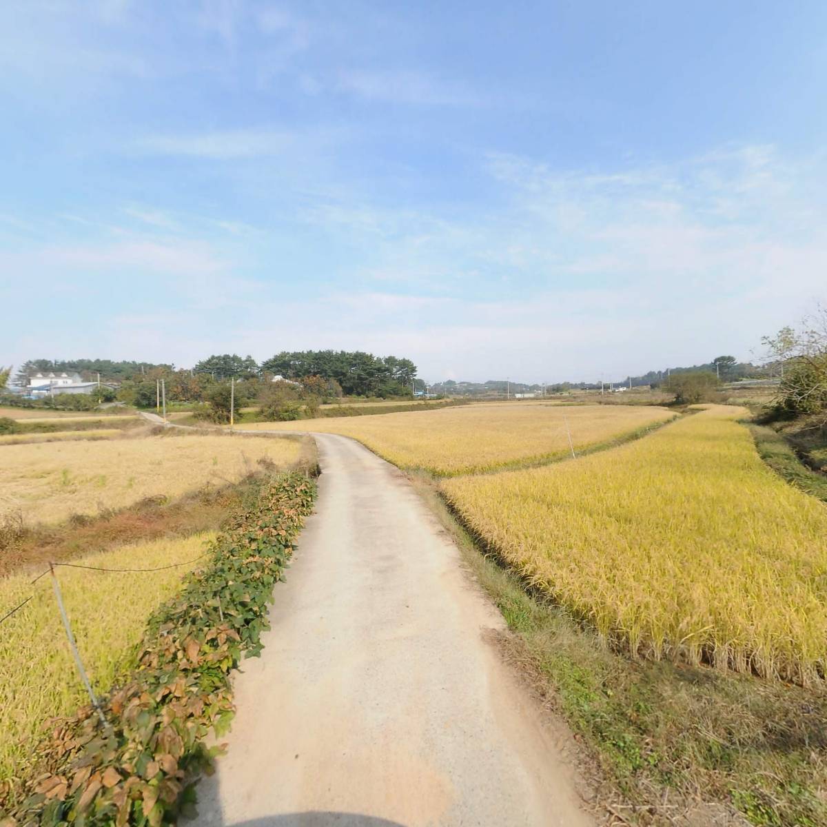 주식회사 비에스이엔씨_2