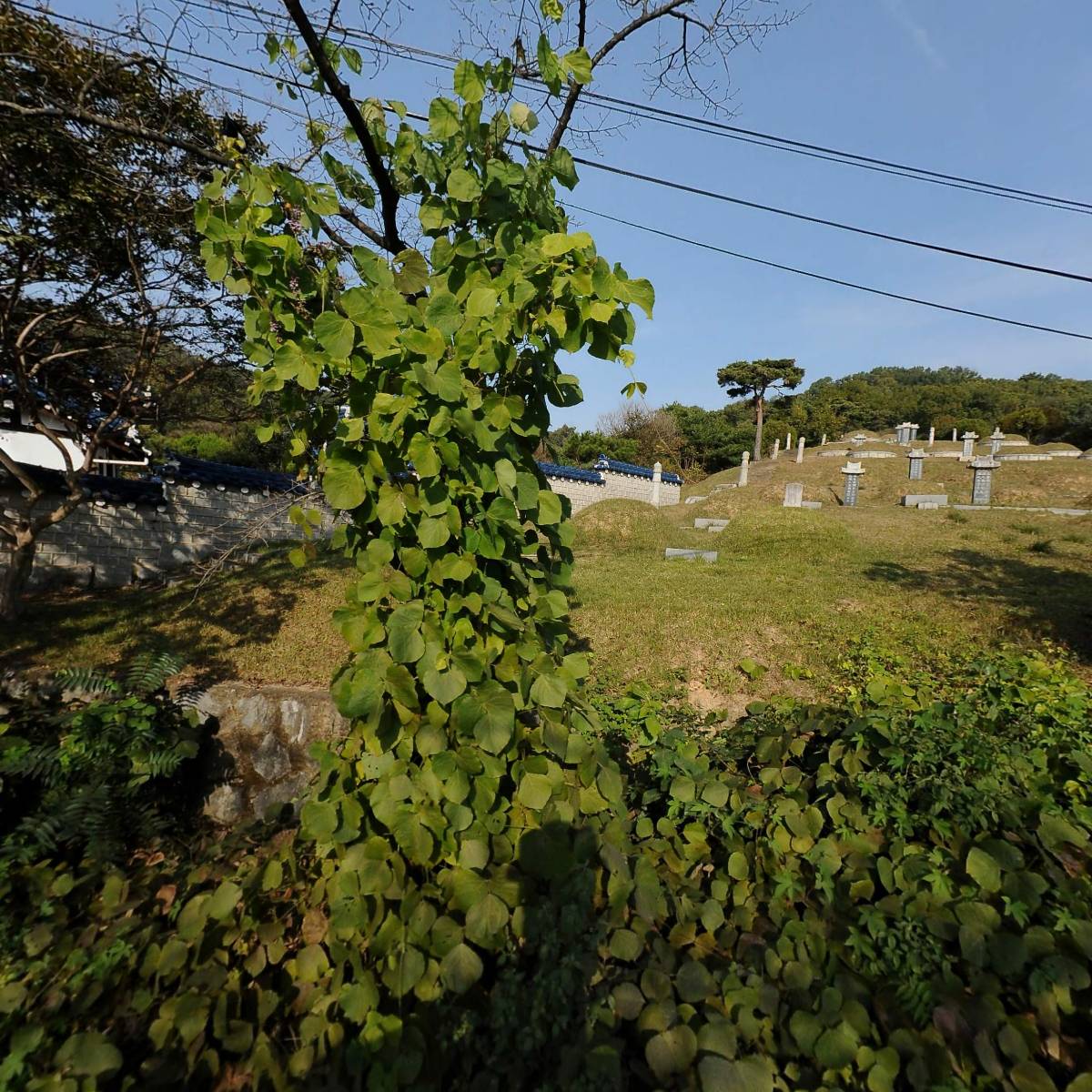 유한회사 미래 전주반려동물장례식장 아리움