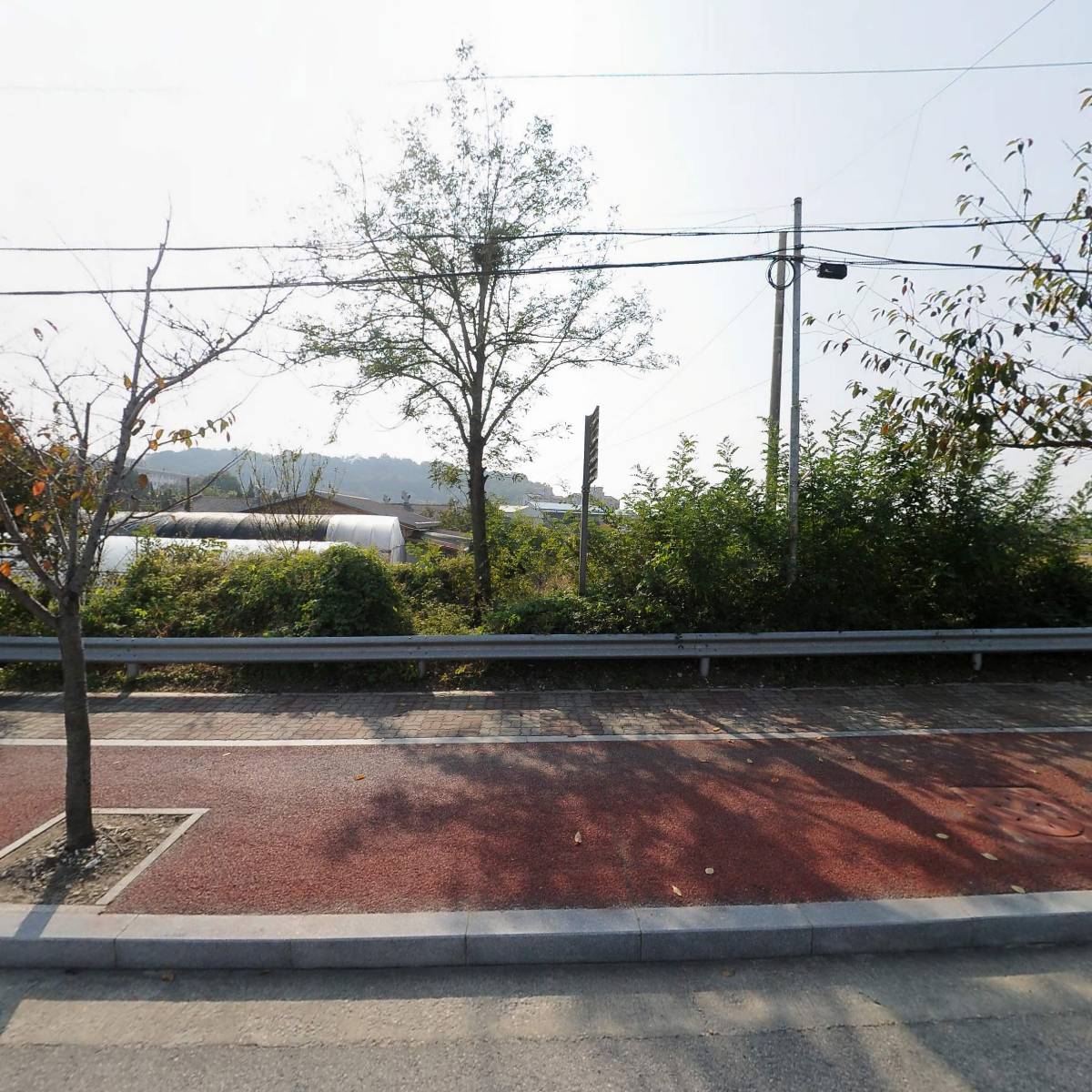 장보고 젓갈
