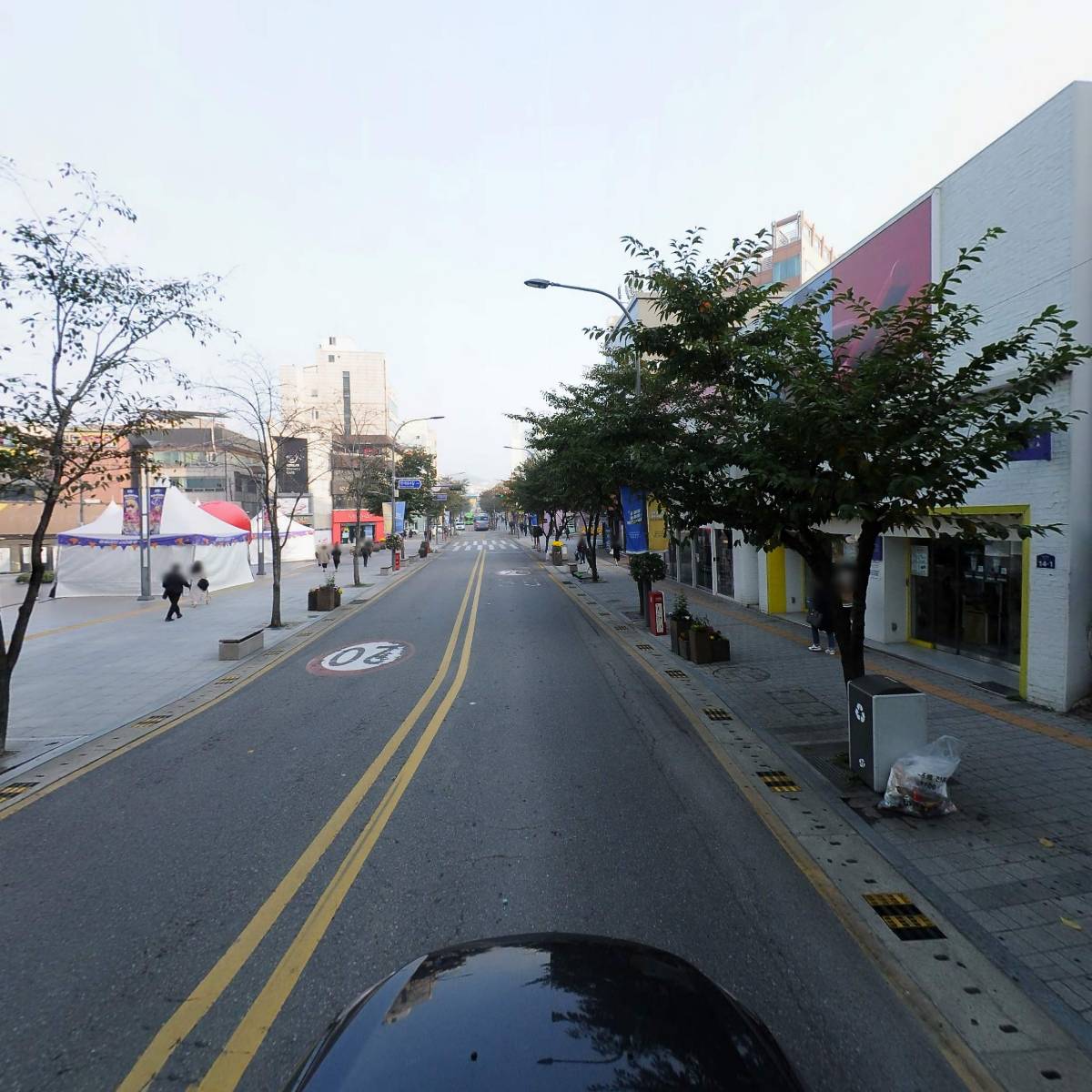 송백_4