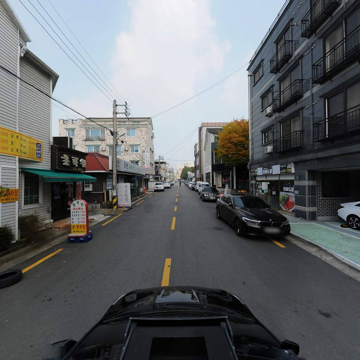 초록원_4