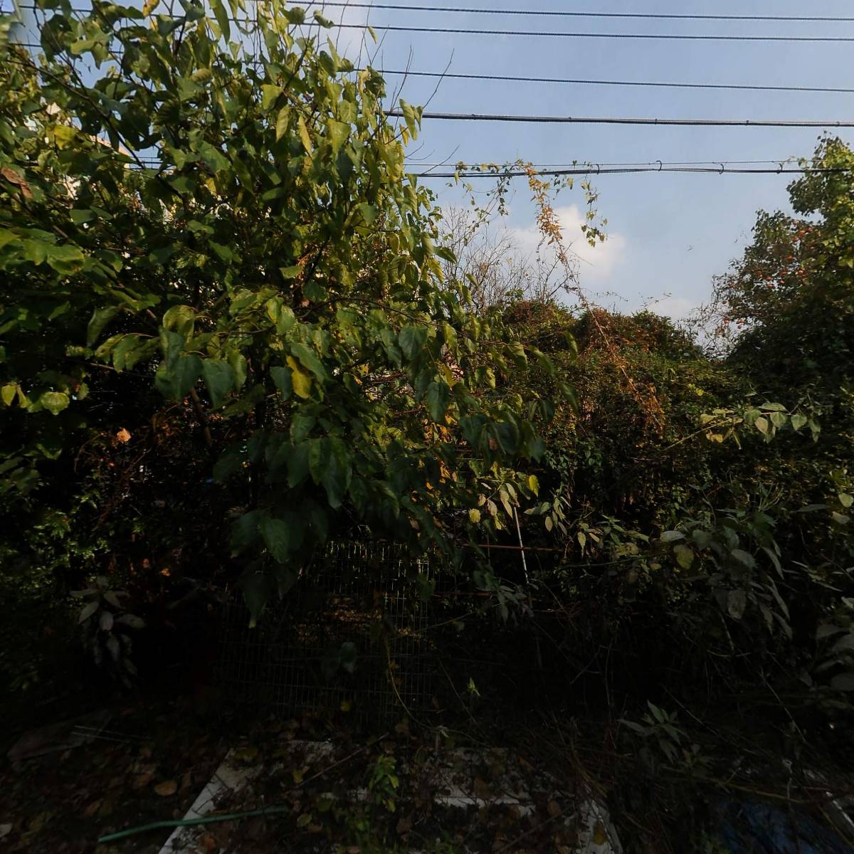 (유)한국에프엔씨