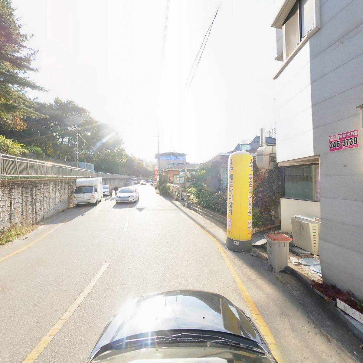 송림_4