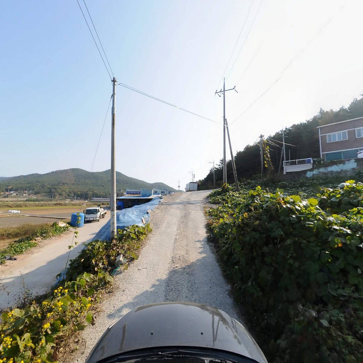대일어망_4
