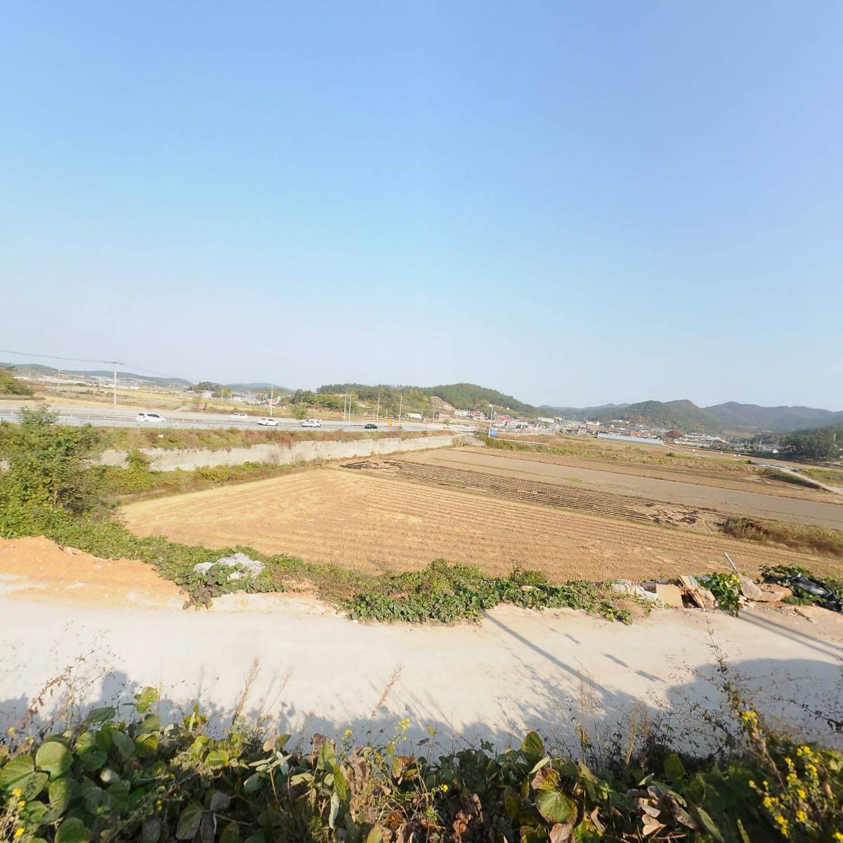 대일어망_3