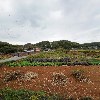 용전마을회_3