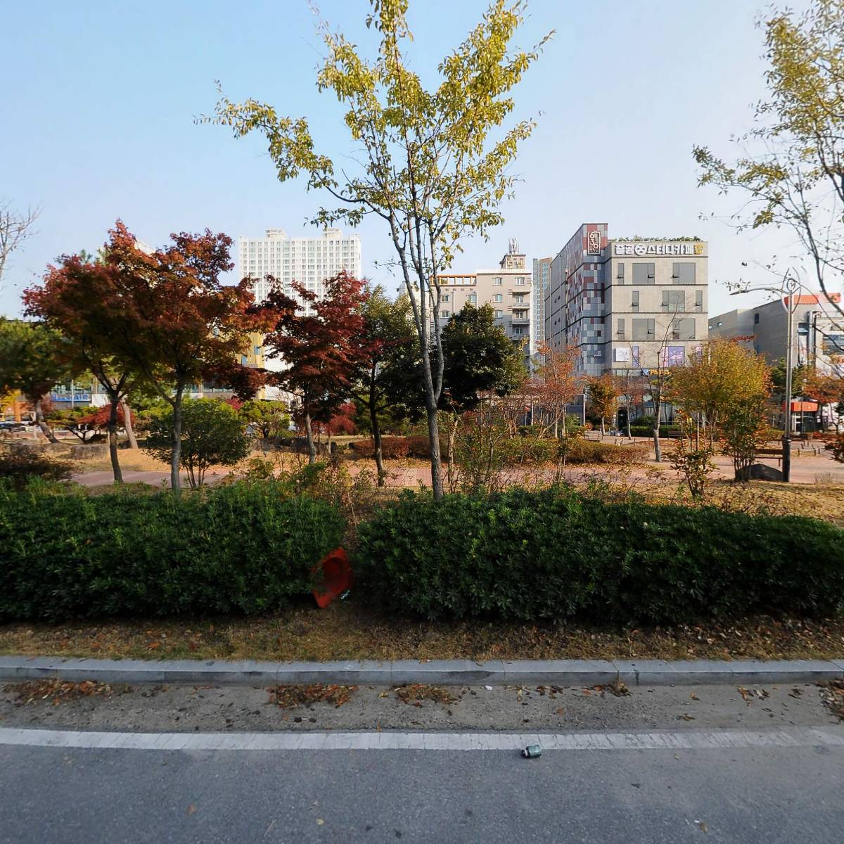 로이스푼