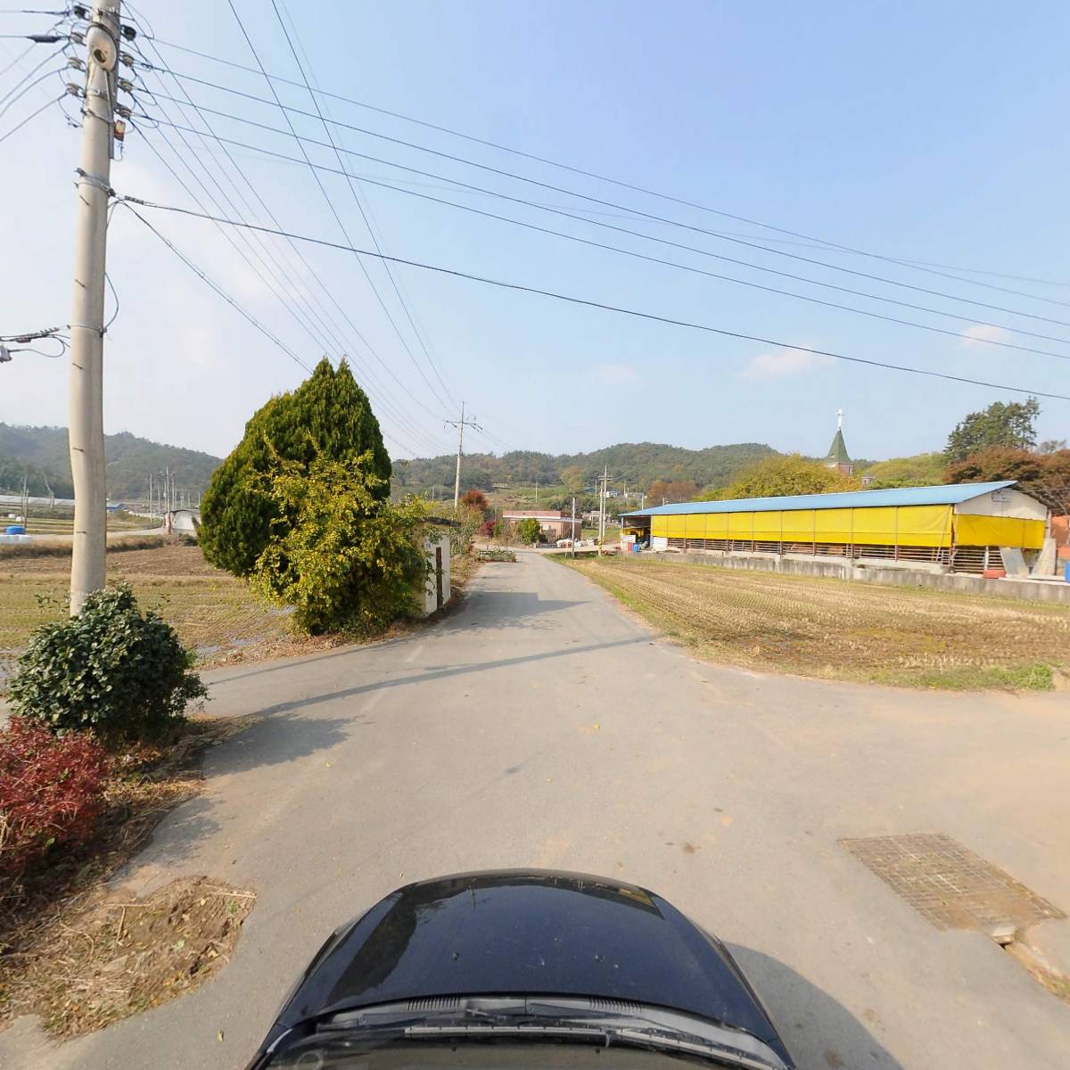 물댄동산_4