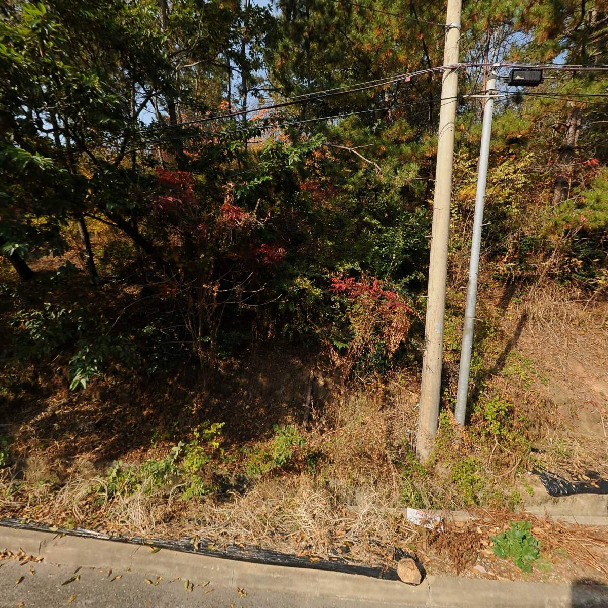 신광전기조명_3