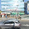 프라자약국(강미숙)