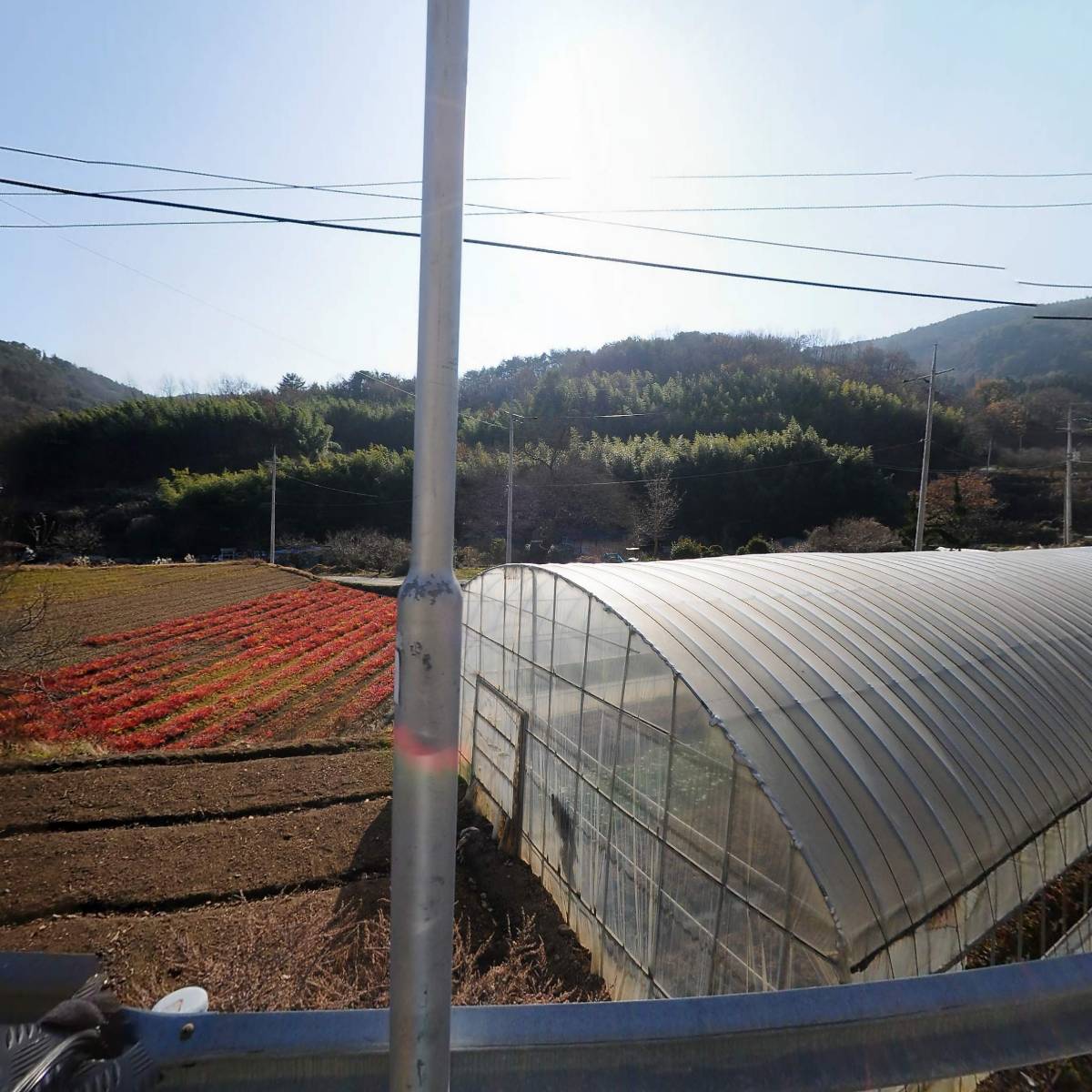 베니샤프(본점)