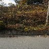 삼성전자로지스틱_3