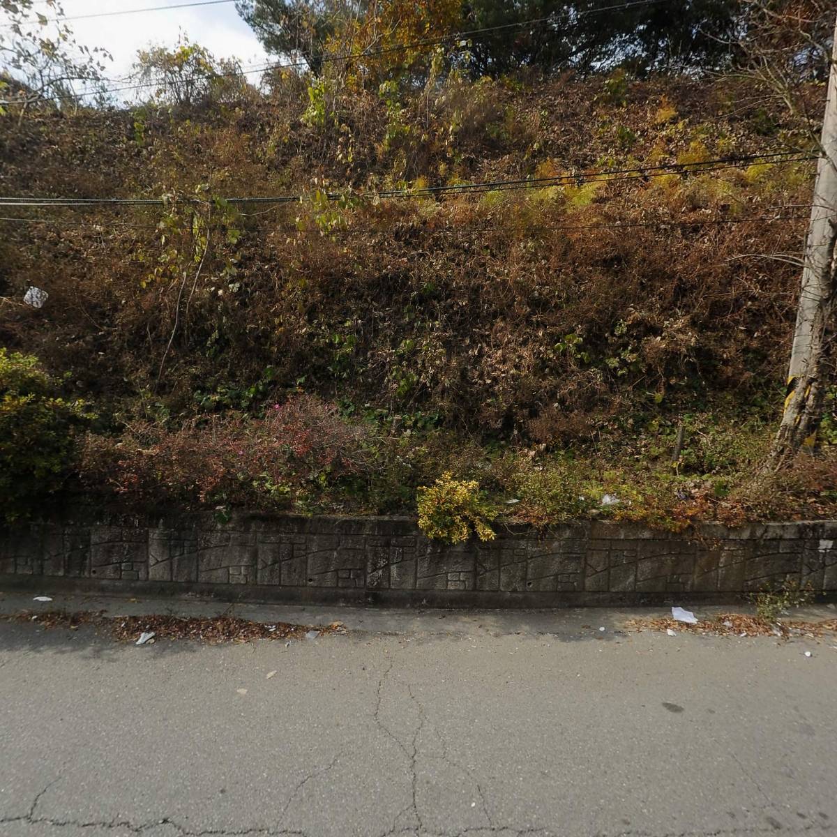 프로서비스(주)_3