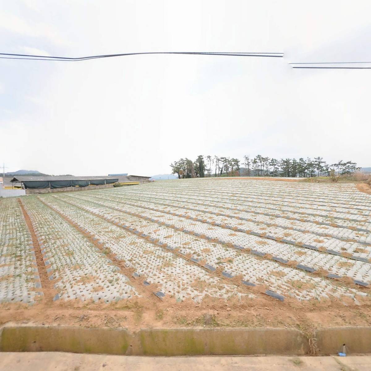 히어로퍼포밍스