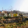 부동산 김순례