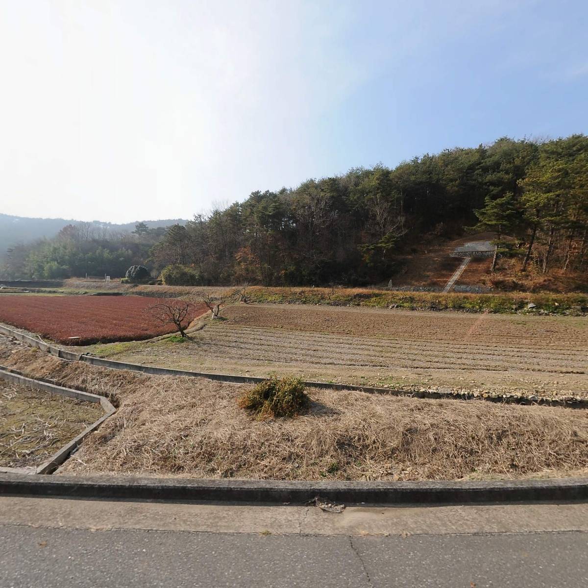 동글동글 버섯농장
