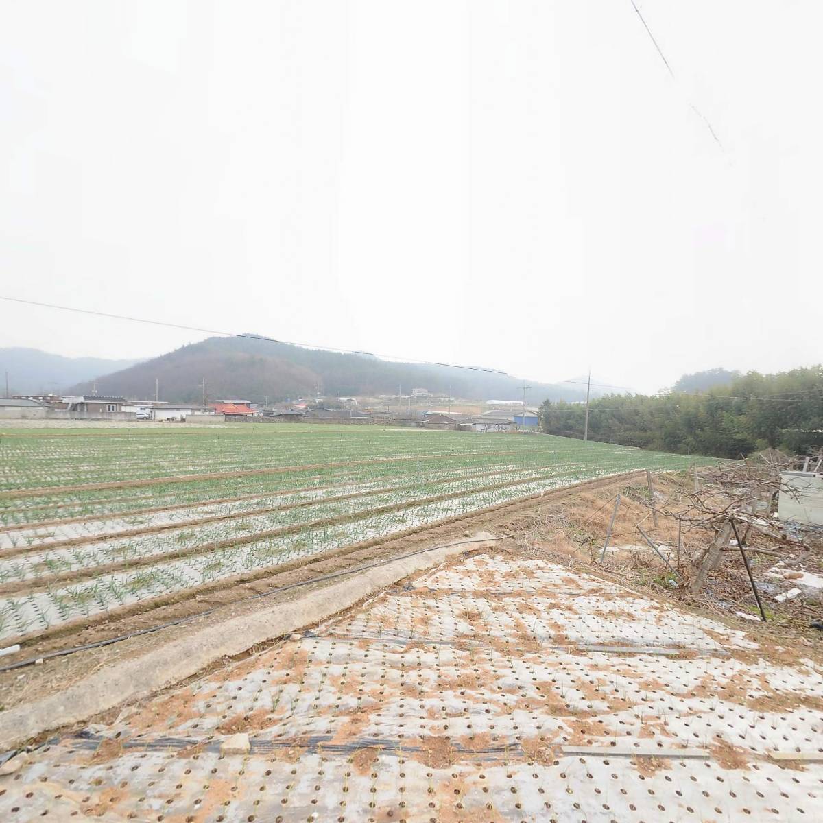 주식회사 오투그린