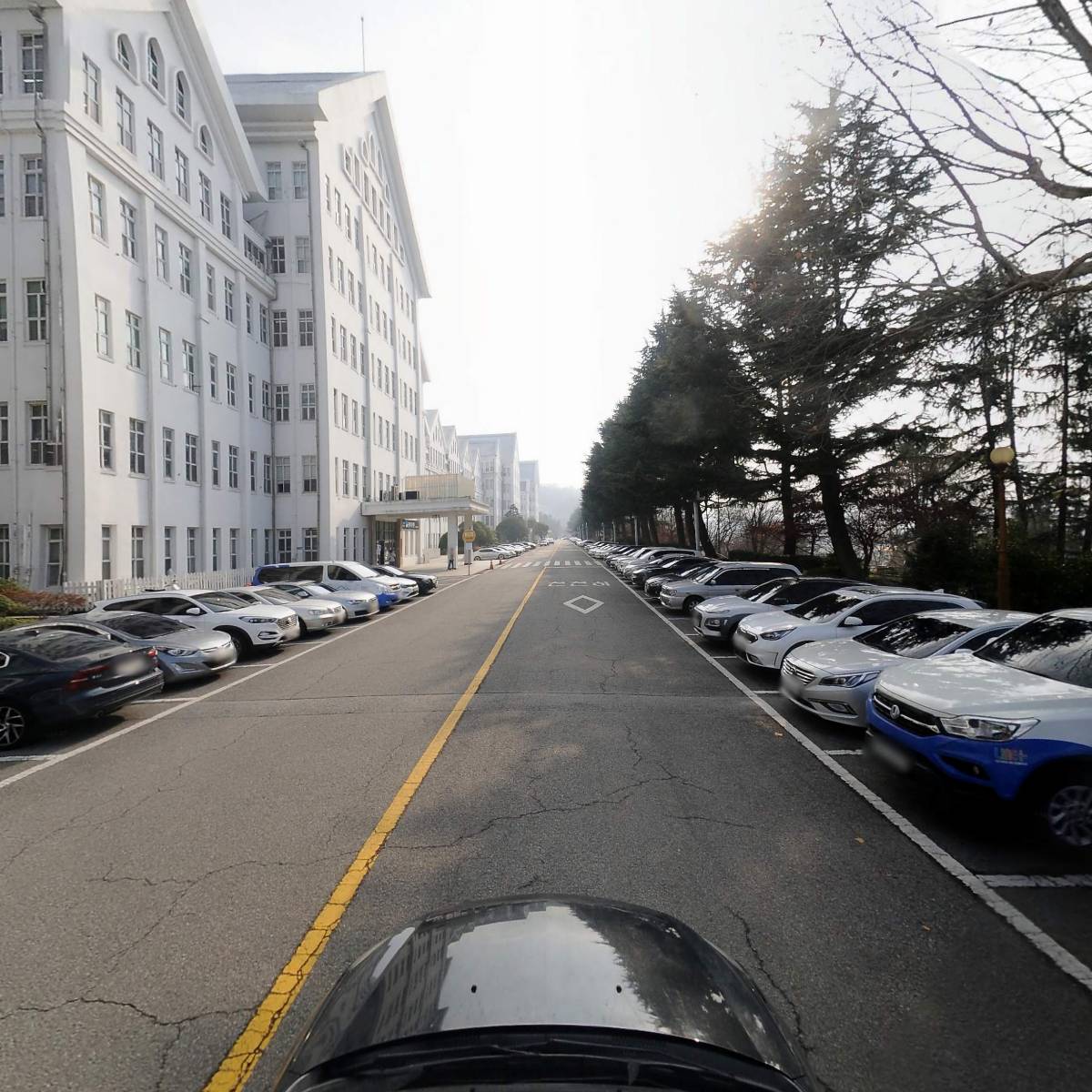 조선대학교 교수노동조합_4