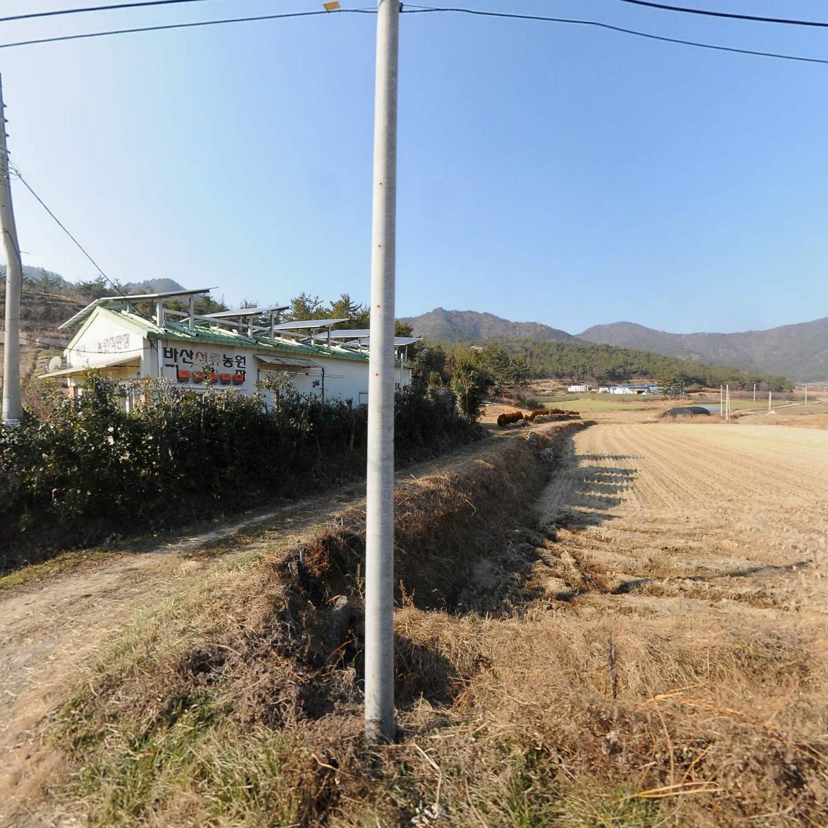바산석류농원