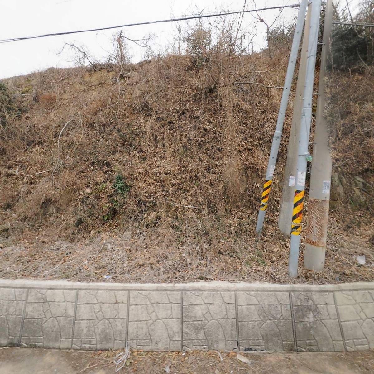 파라우 수산