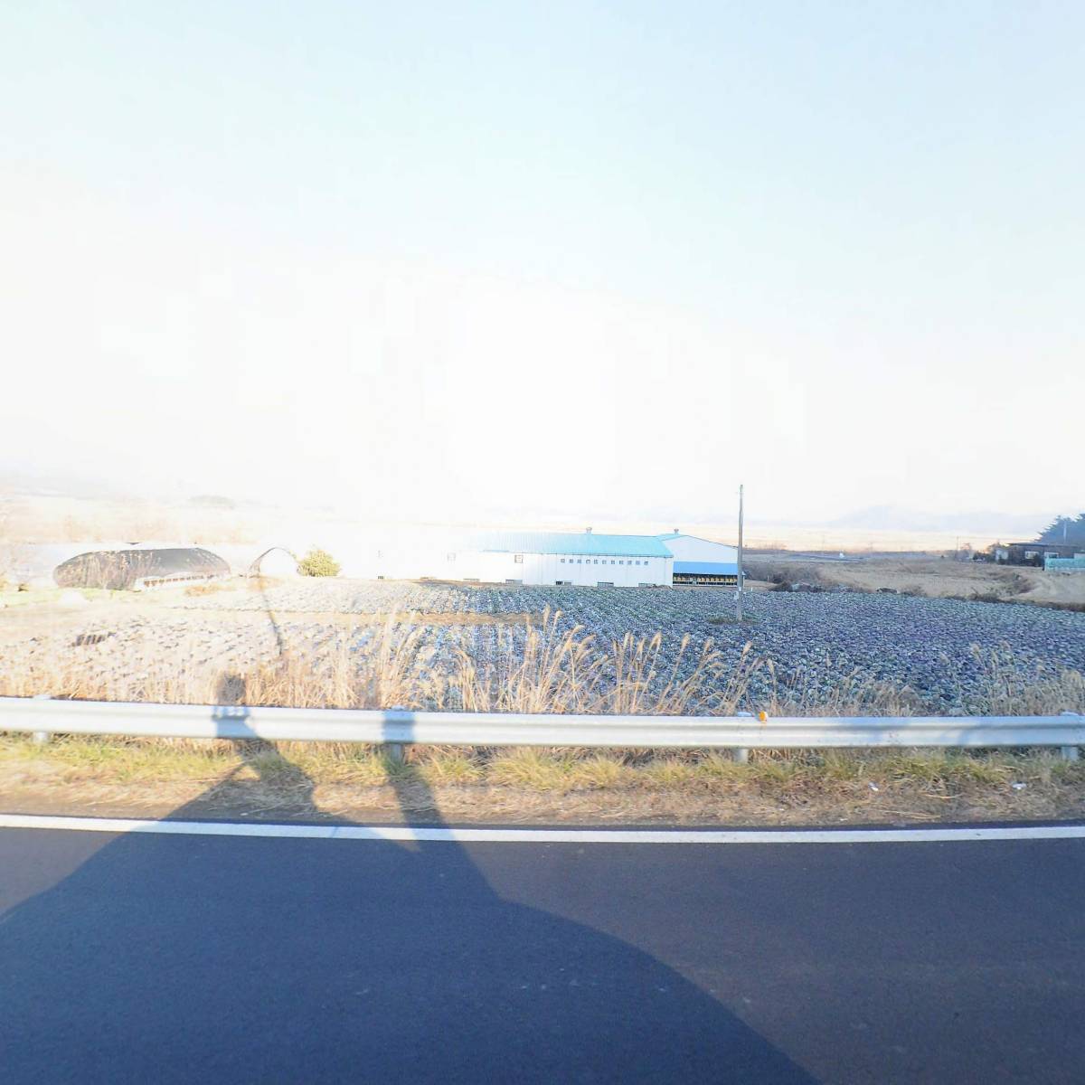 그랜마켓팜_3