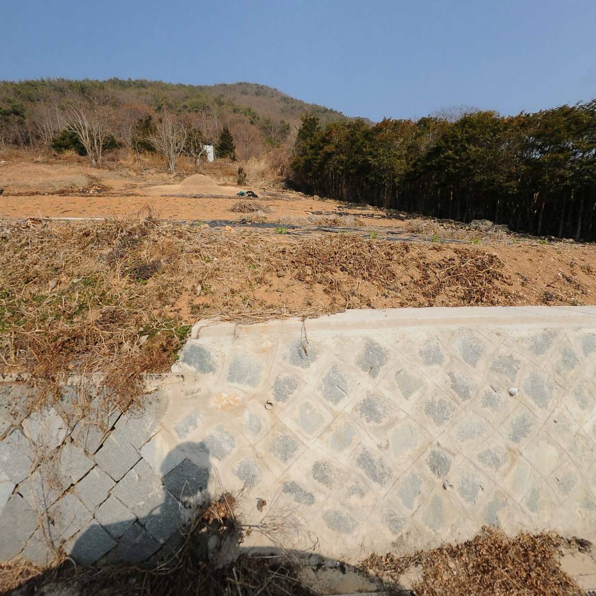 영남중학교