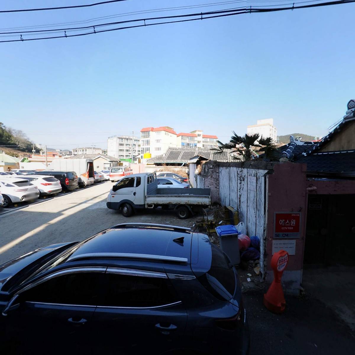고흥미소동물병원