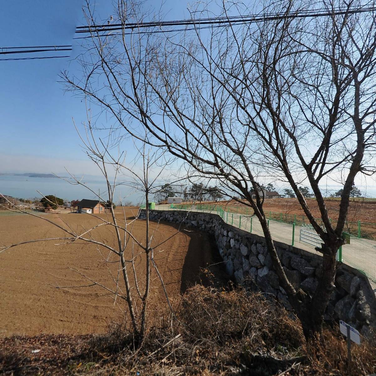 고흥향
