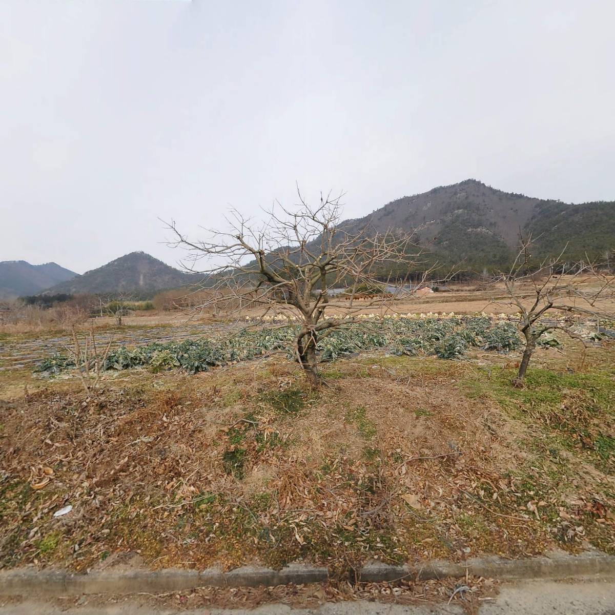 삼화농장