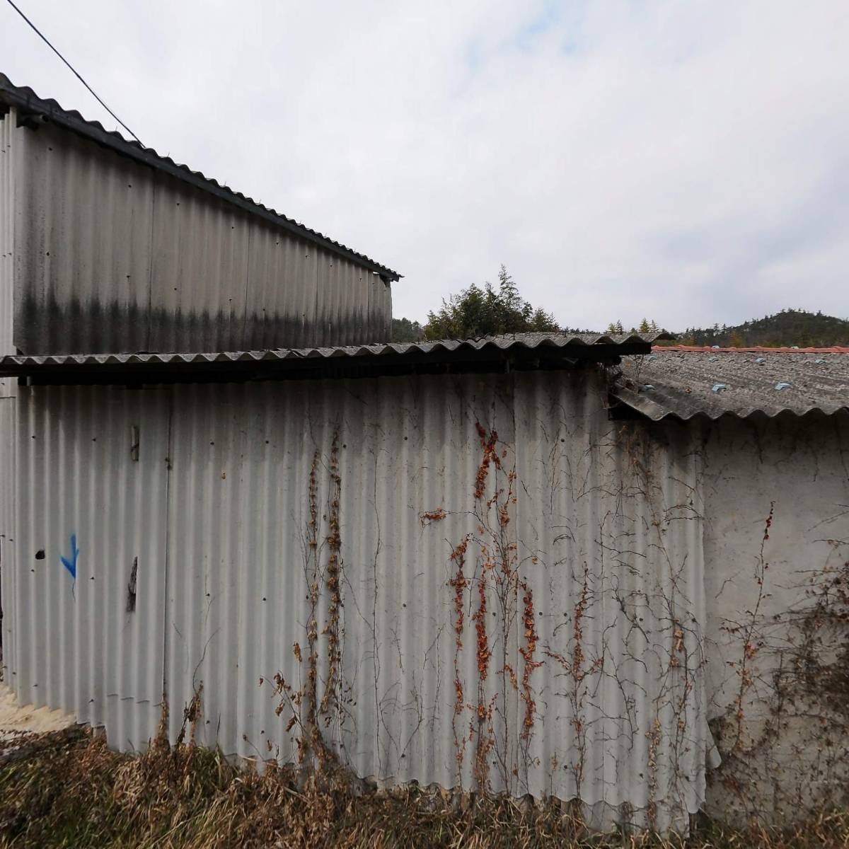 강진군족구협회